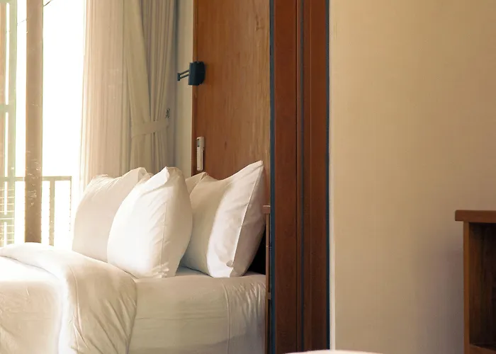 Hotel Tedu *