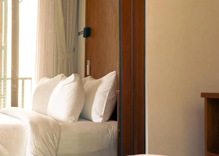Hotel Tedu